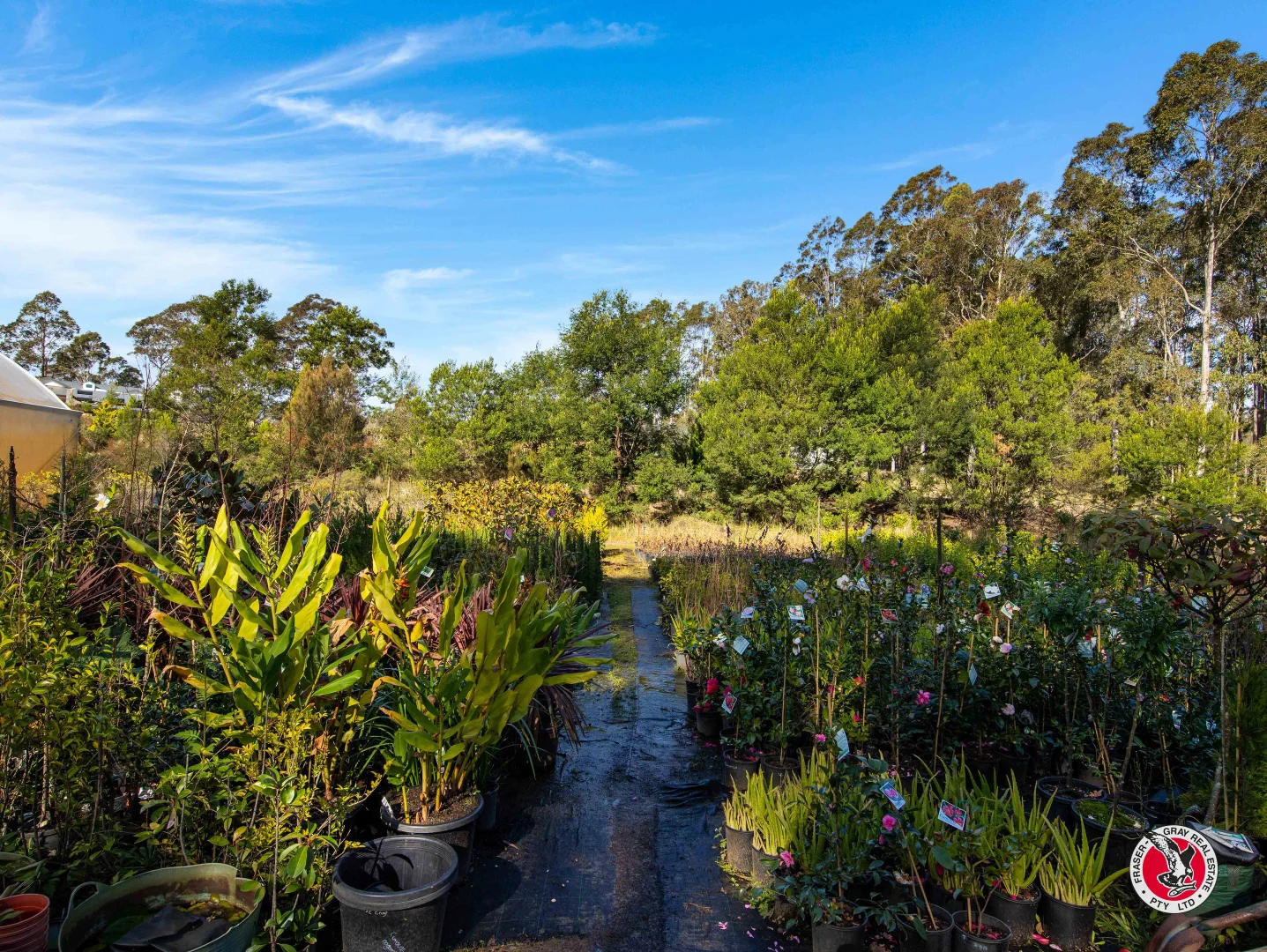 Additional image 8 of 60 Broulee Road, Broulee NSW 2537