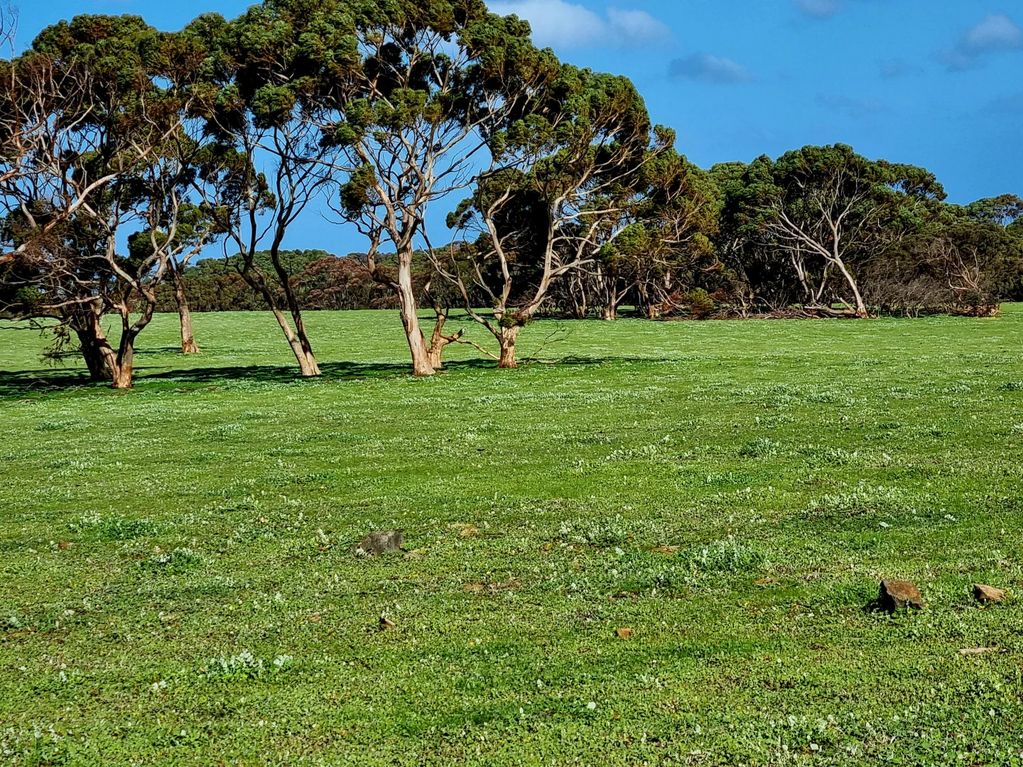 Additional image 2 of 958 Crabbs Road, Newland SA 5223