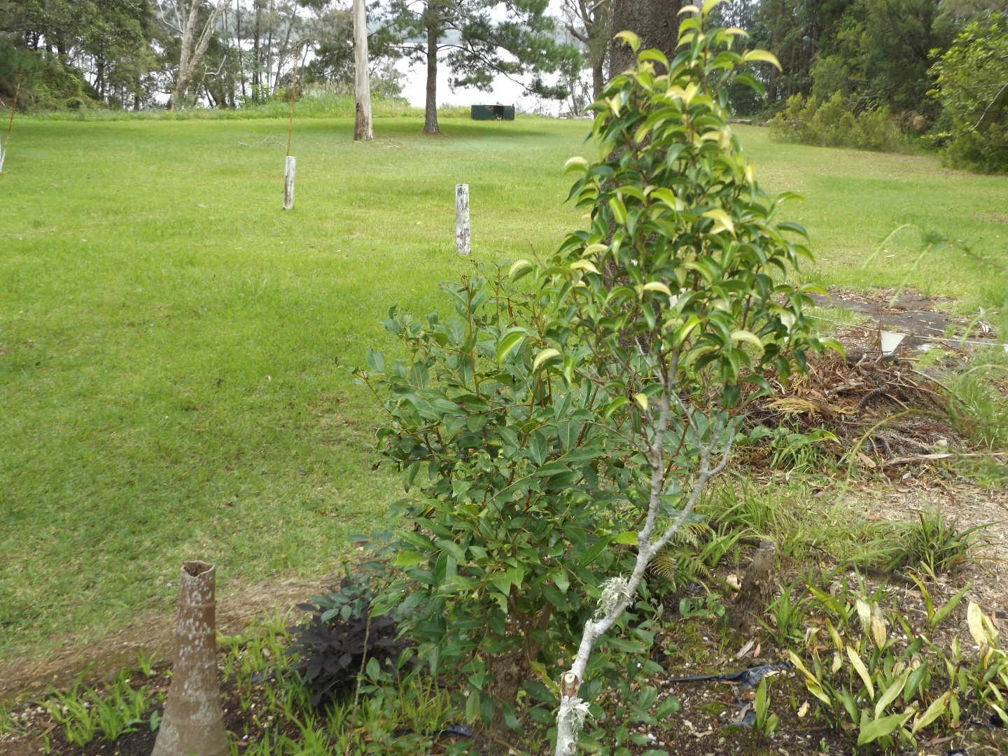 Additional image 11 of 31/229 Ocean Drive, Lakewood NSW 2443