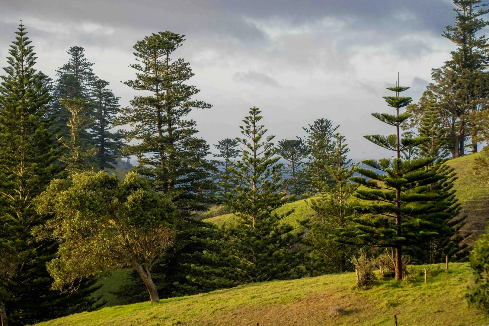 Additional image 8 of 13x1 Cascade Road, Norfolk Island NSW 2899