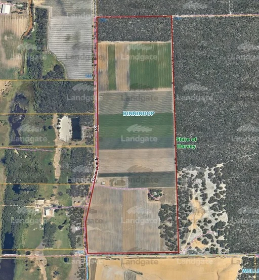 Additional image 11 of 186 & 229 Runnymede Road, Binningup WA 6233