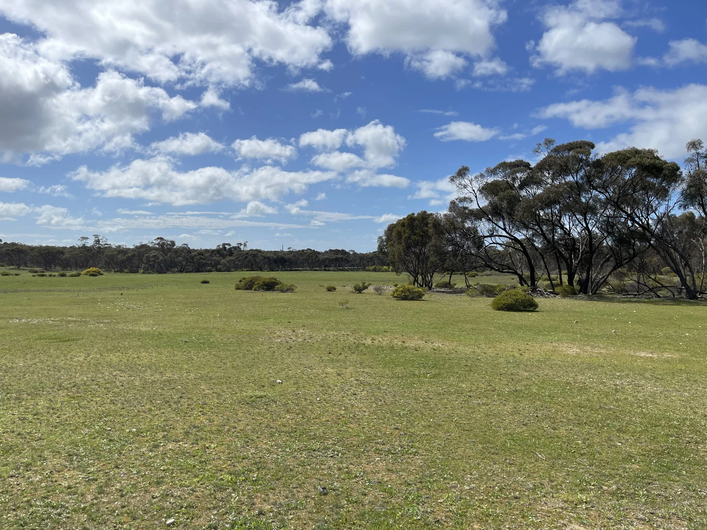 Additional image 3 of 6803 Calder Highway, Wedderburn VIC 3518