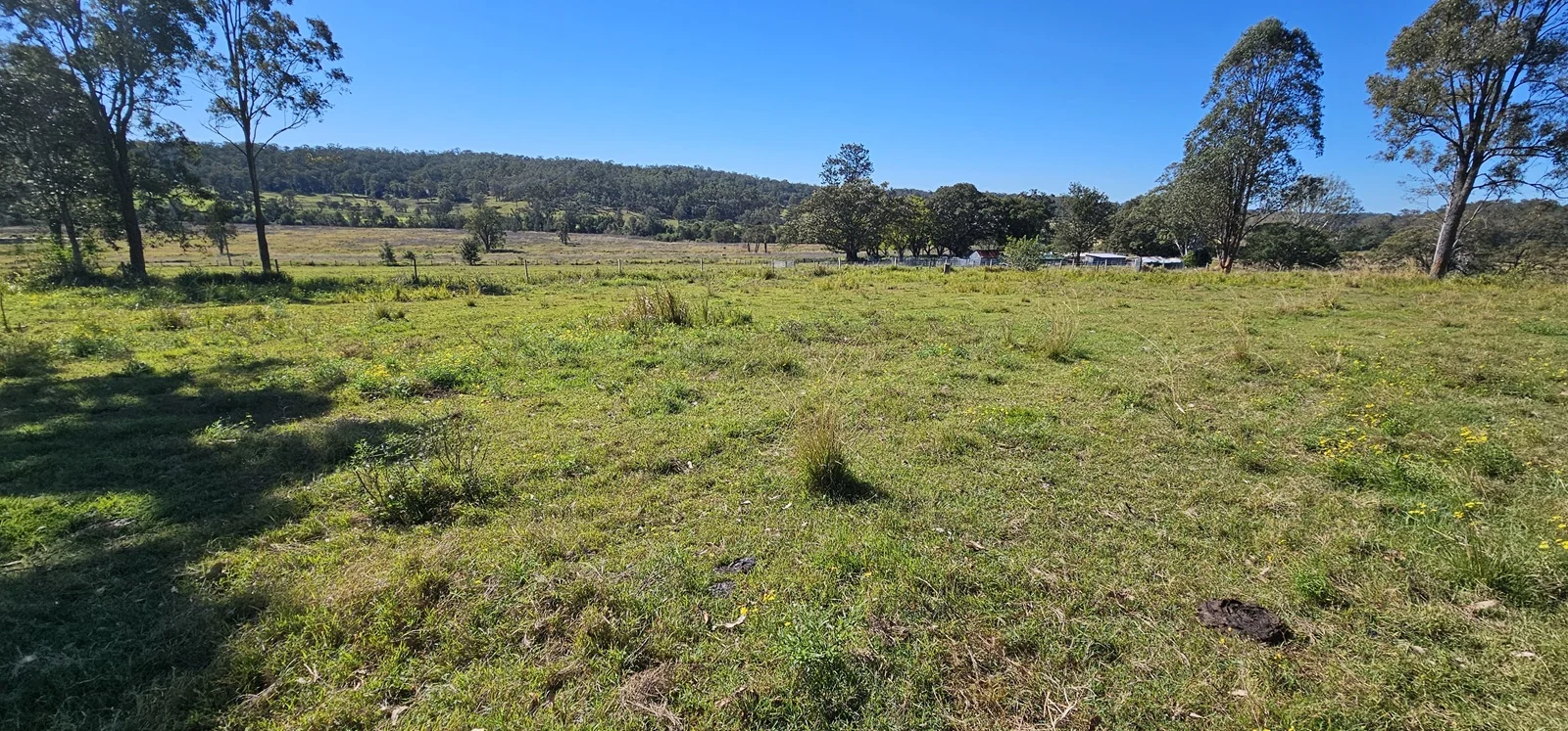 Additional image 11 of 981 Old Dyraaba Road, Lower Dyraaba NSW 2470