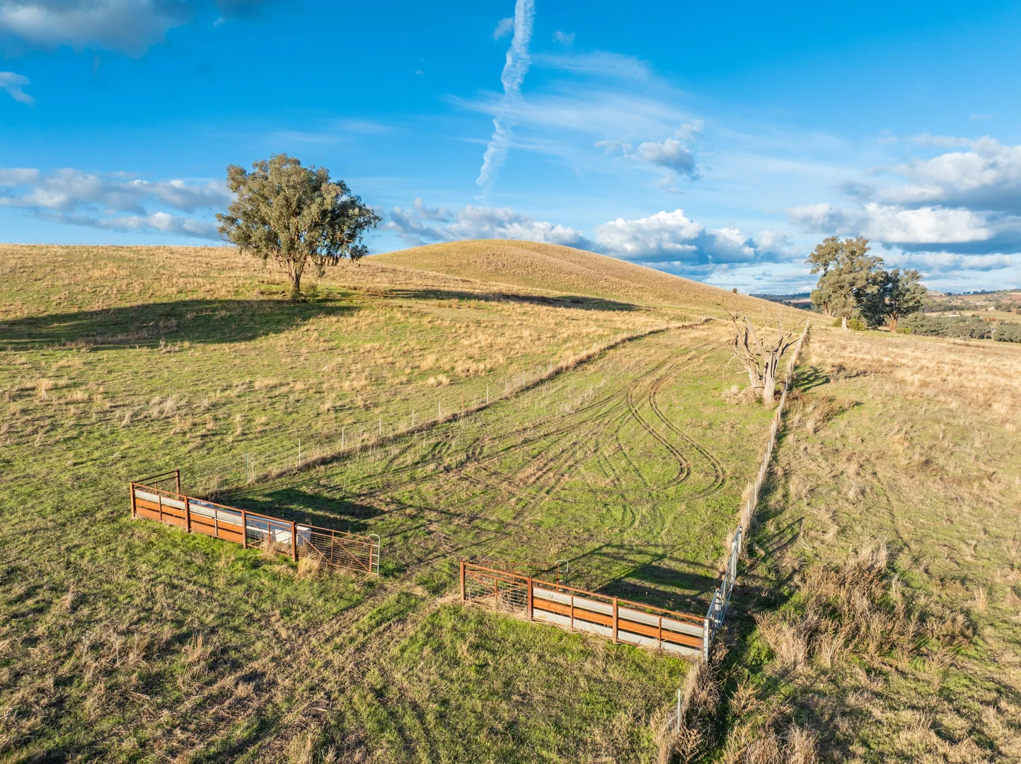 Additional image 20 of 14 Packs Grant Road, Cowra NSW 2794