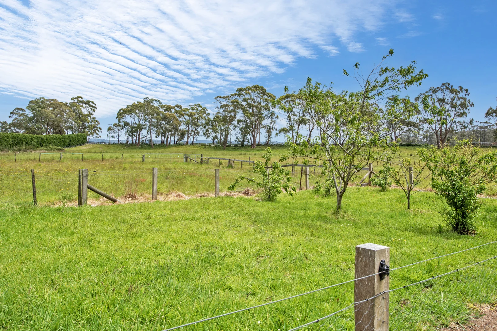 Additional image 15 of 55 Browns Road, Smithton TAS 7330