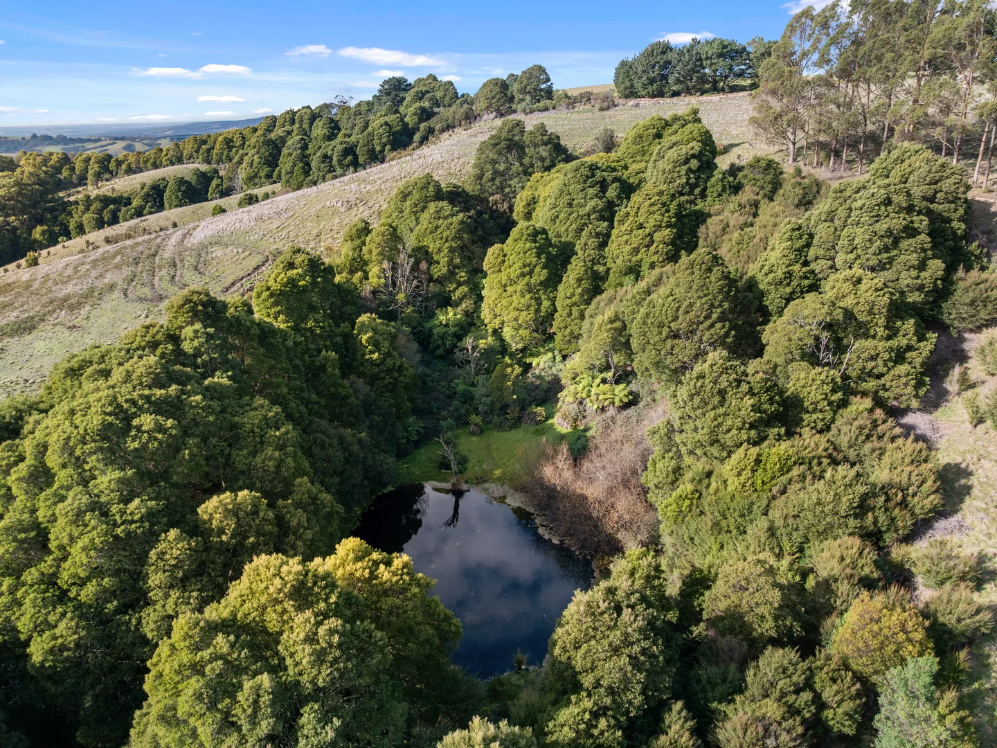 Additional image 20 of 205 Mt Best Tin Mine Road, Toora North VIC 3962