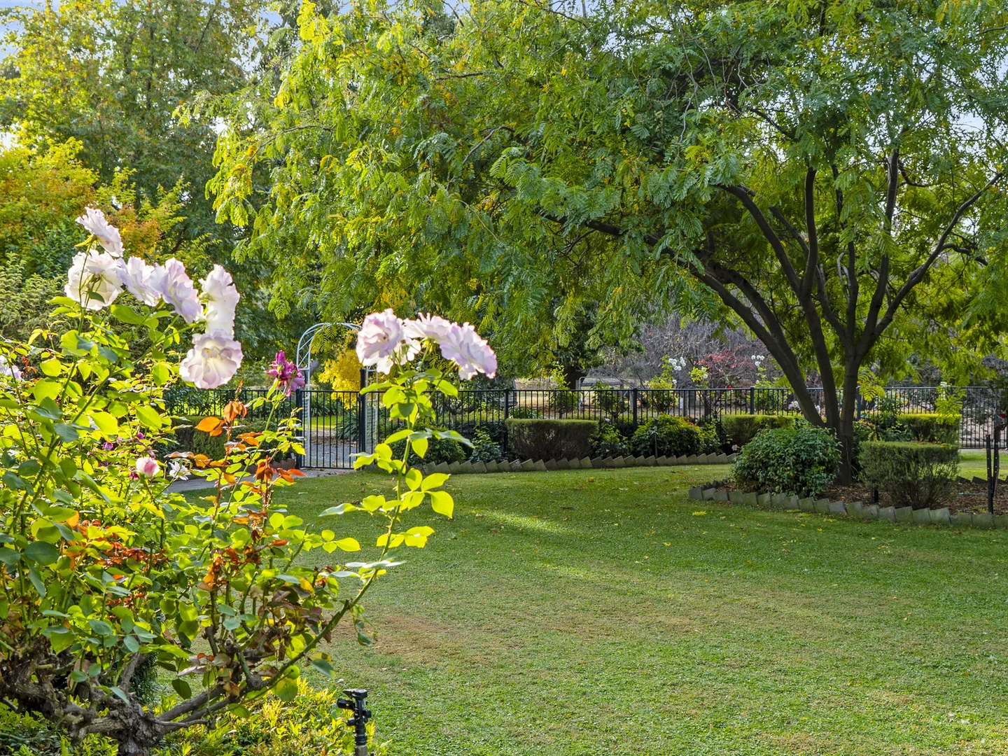 Additional image 33 of 271 Moors Road, Nathalia VIC 3638