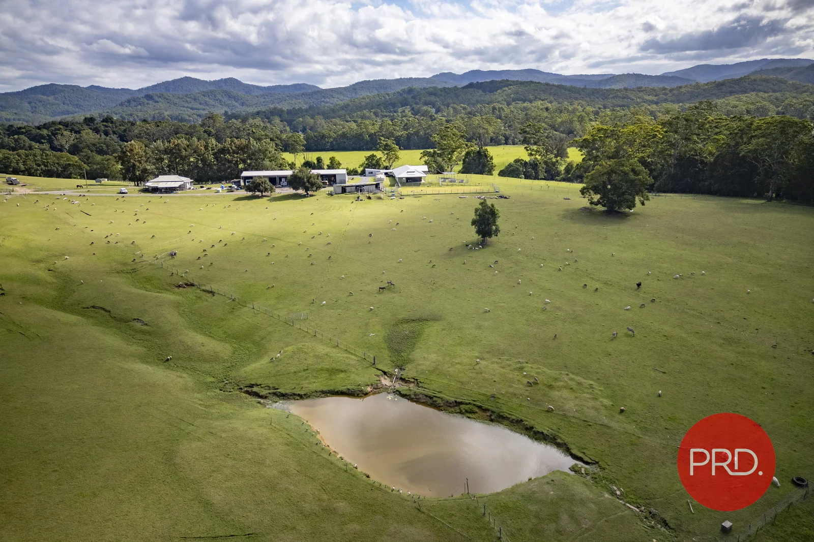 Additional image 24 of 441 Eastbank Road, Coramba NSW 2450