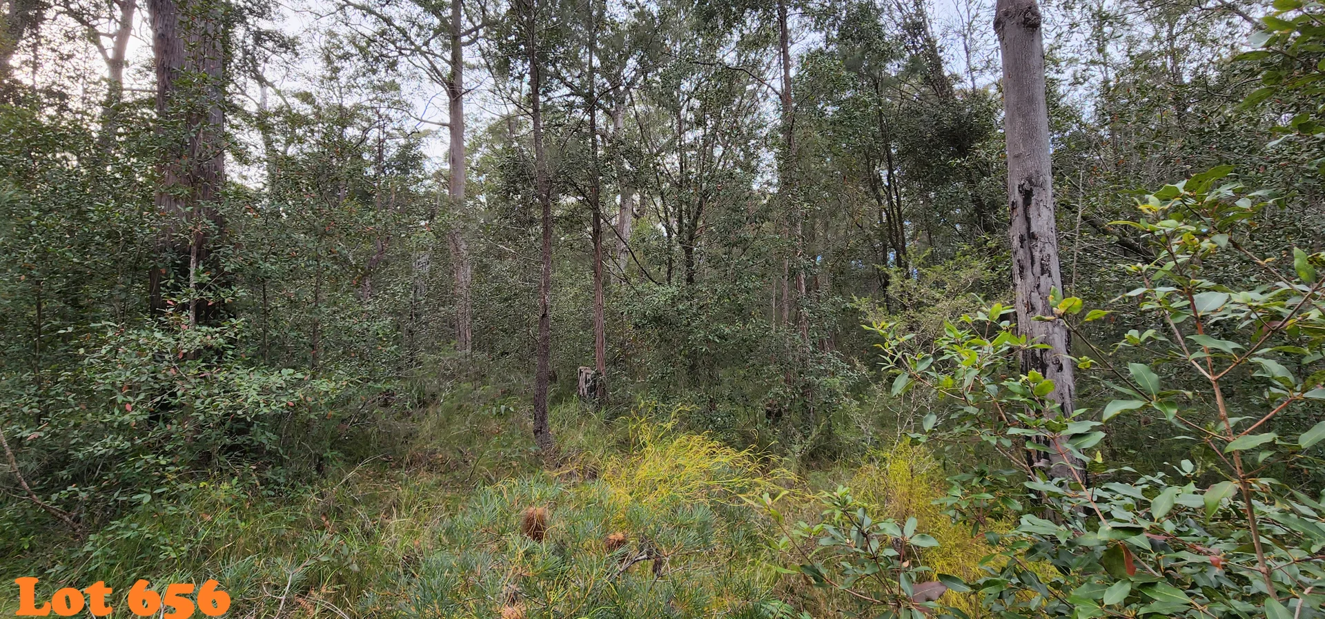 Additional image 6 of lot 655,658,660-661, Clarendon Cres, Basin View NSW 2540