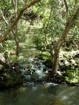 Additional image 4 of Lot 123 Two Chain Road, Koah QLD 4881