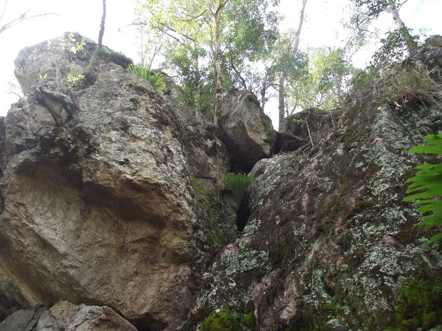 Additional image 8 of Stegemann Road, Upper Glastonbury QLD 4570