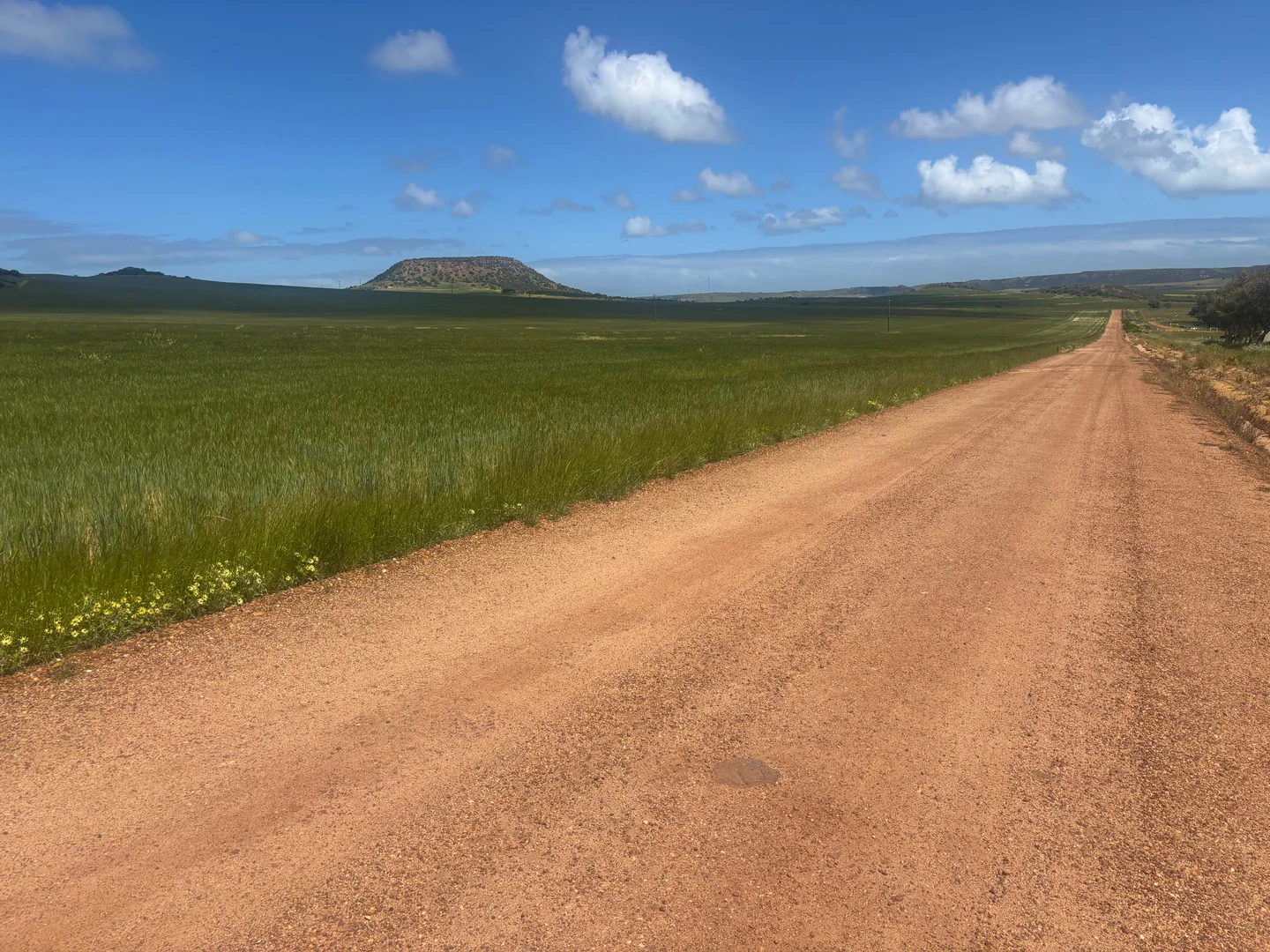 Additional image 13 of 9500 Chapman Valley Road, Narra Tarra WA 6532