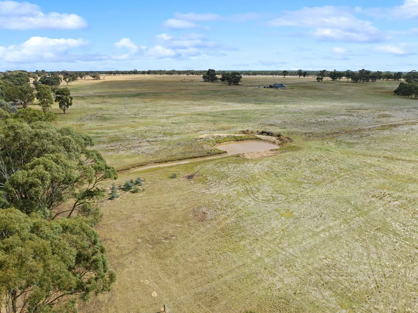 Additional image 5 of 311 Pethericks Road, Goornong VIC 3557