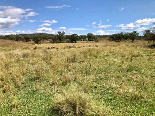 Additional image 2 of Nullamanna NSW 2360