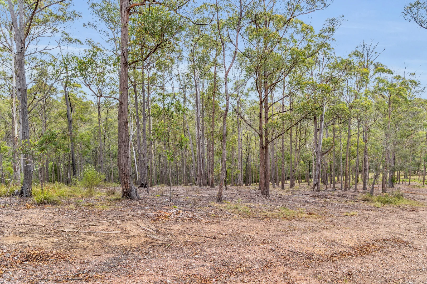 Additional image 10 of 82 Barrabooka North Road, Tanja NSW 2550