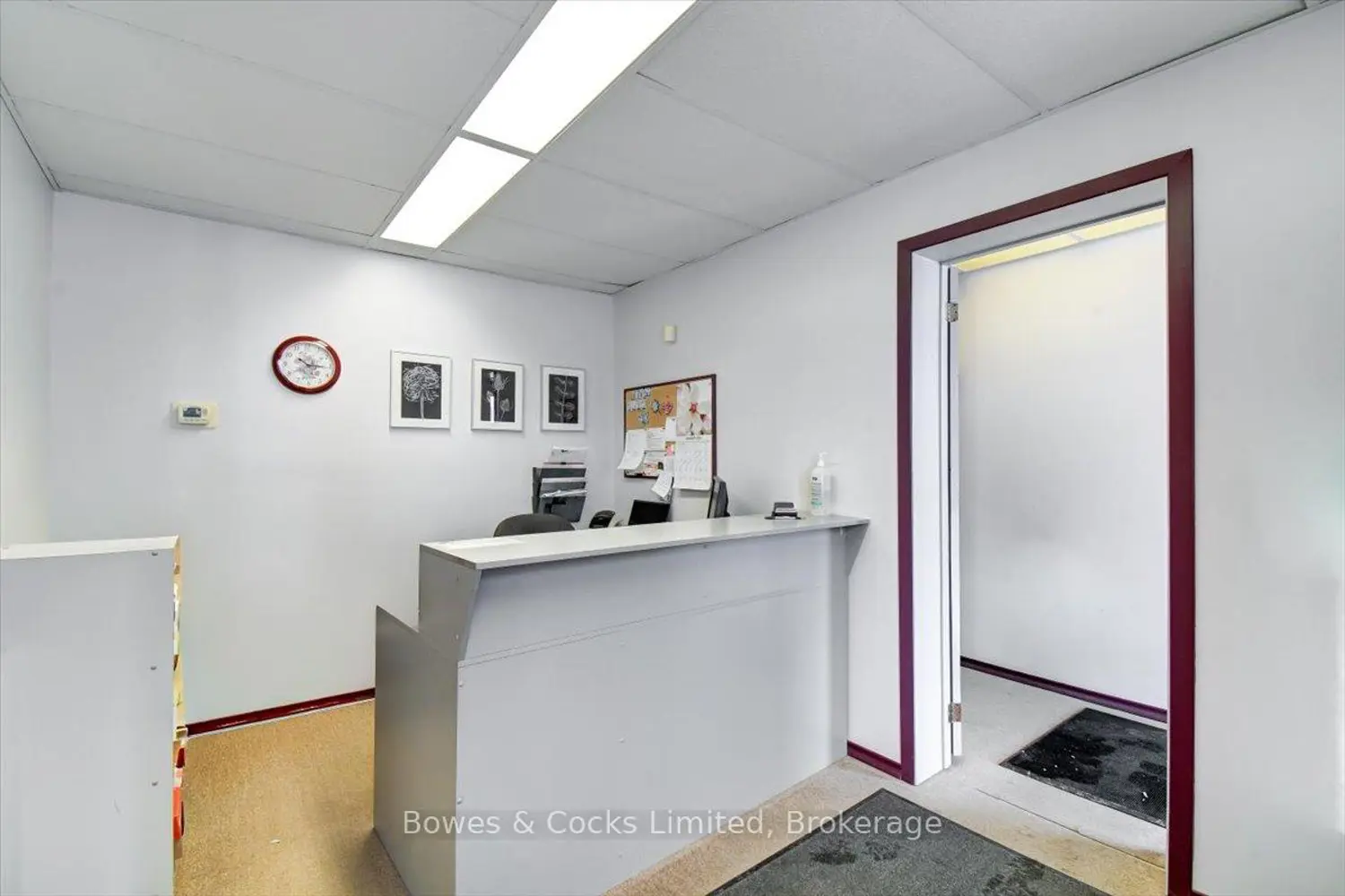 Additional image 5 of 339-341 Reid Street