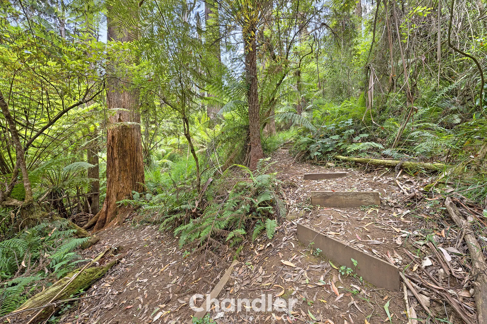 Additional image 28 of 19 Colehurst Crescent, Olinda VIC 3788