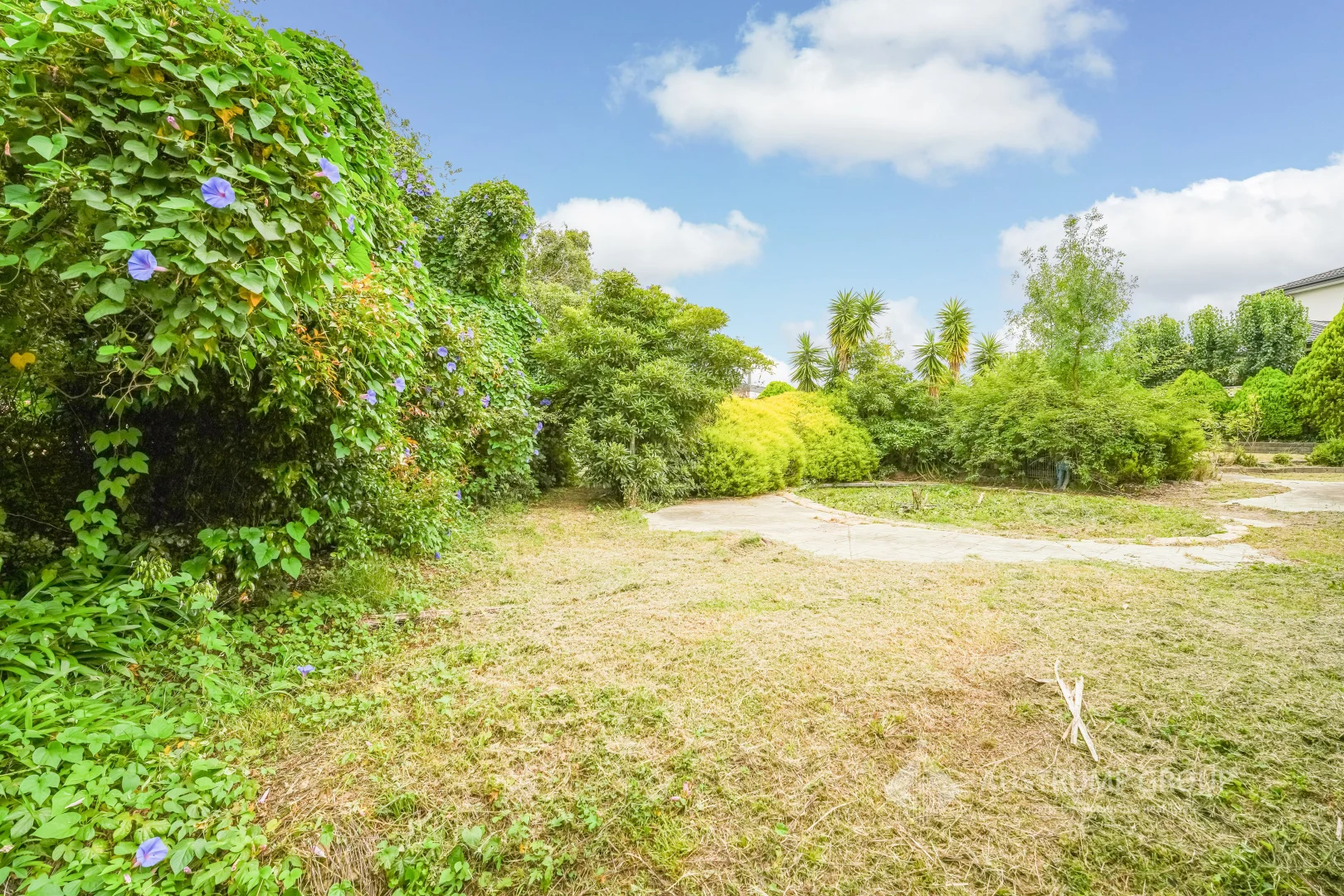 Additional image 4 of 10A GARDENVIEW COURT, Templestowe VIC 3106