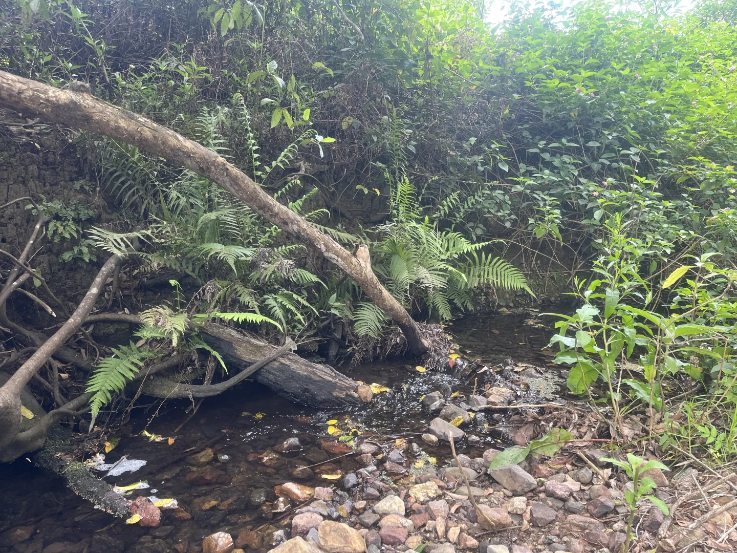 Additional image 7 of 173 Knodingbul Forest Road, Mount George NSW 2424