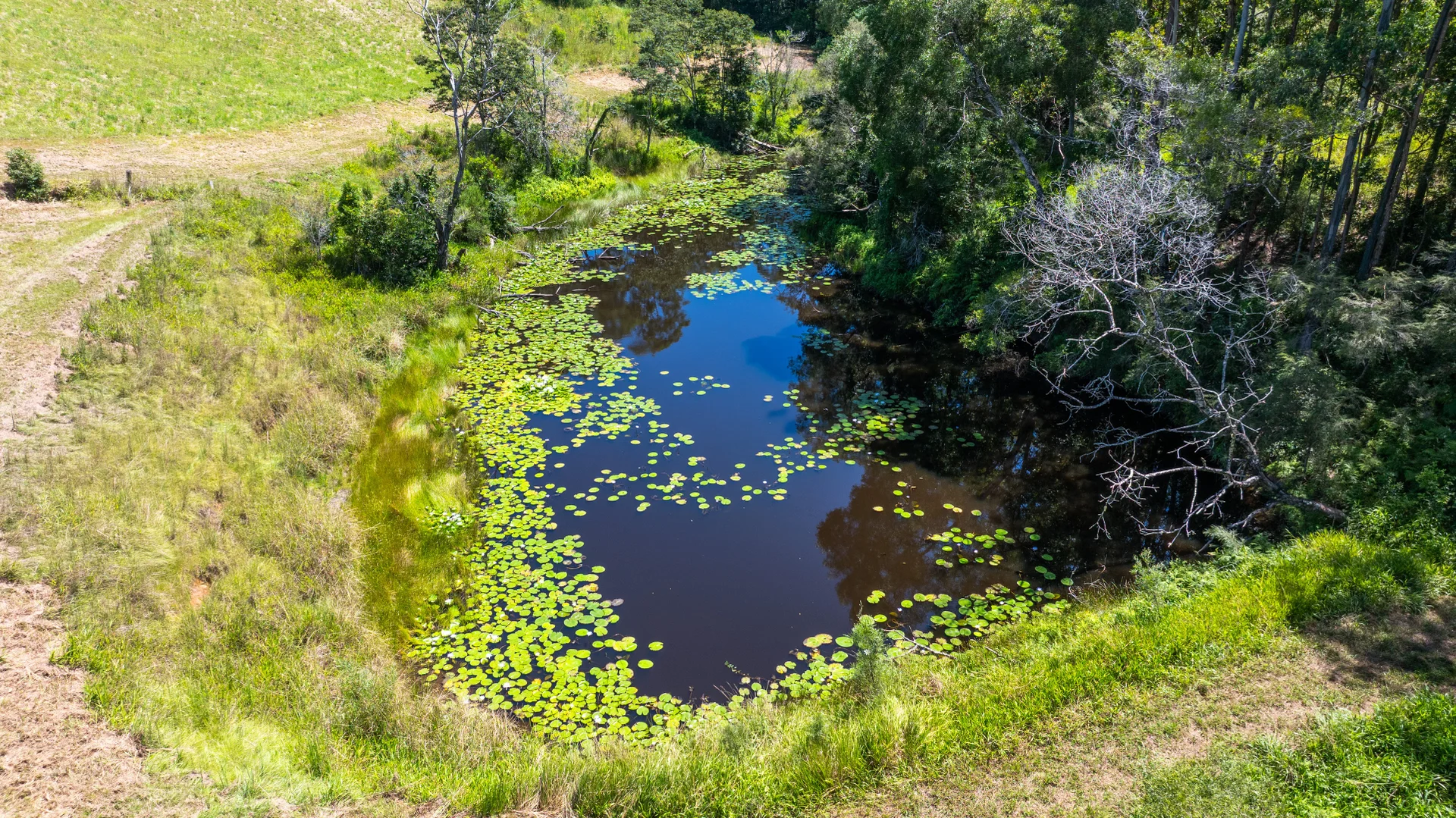 Additional image 45 of 930 promised land Road, Bellingen NSW 2454