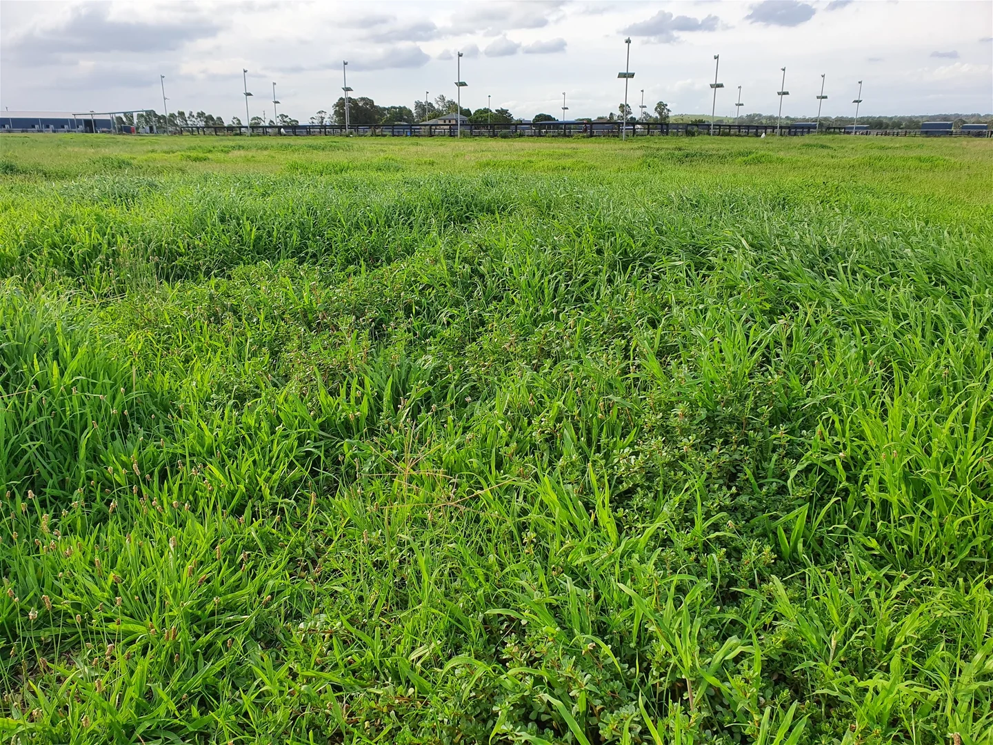 Additional image 11 of 240 SCOTCH CREEK ROAD, Millers Forest NSW 2324