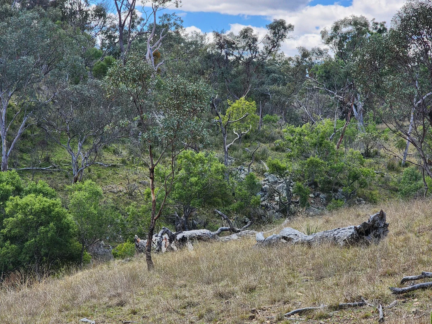 Additional image 9 of Lot 2 Stanthorpe Texas Road, Stanthorpe QLD 4380