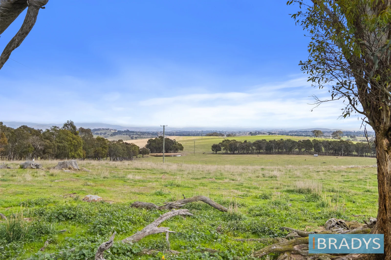 Additional image 8 of 1/311 Bushs Lane, Nanima NSW 2582
