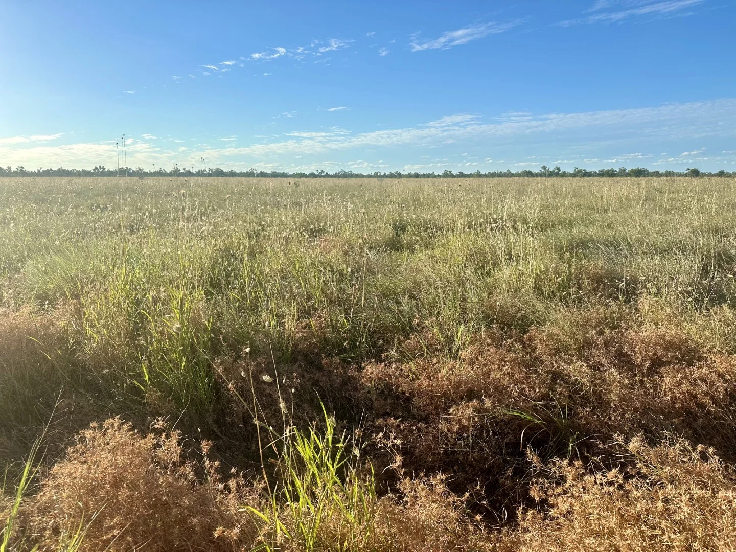 Additional image 23 of Benmara Station, Creswell NT 0852
