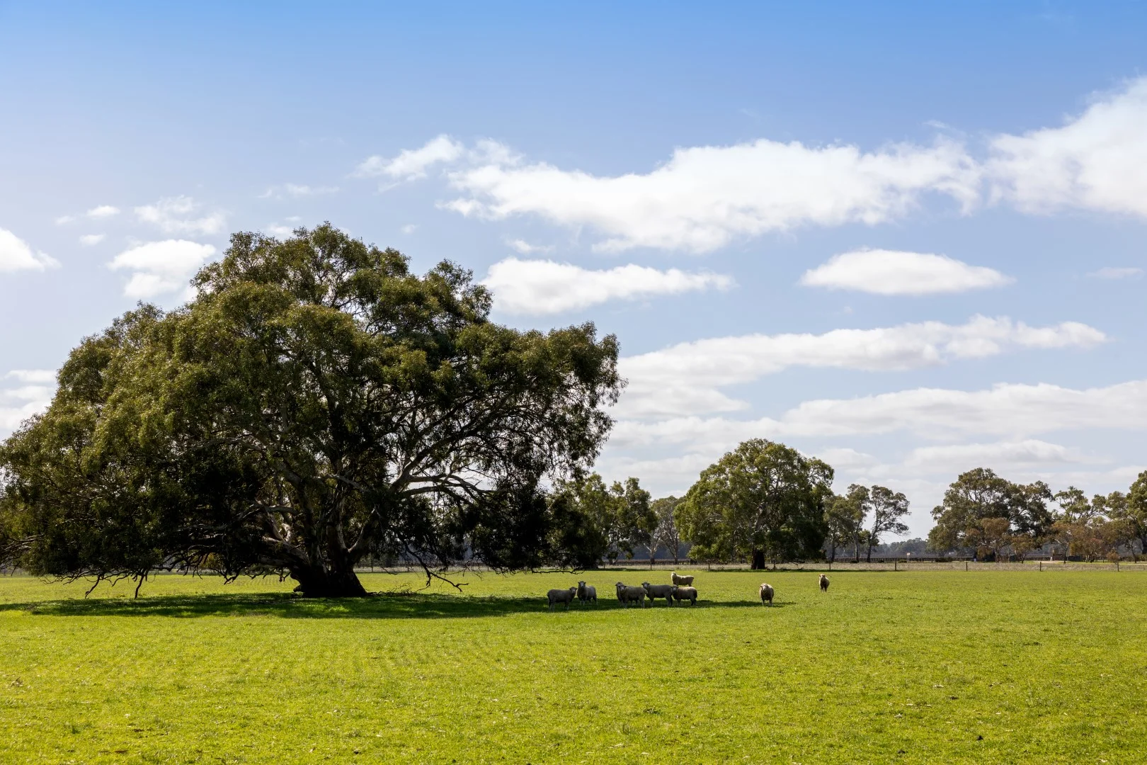 Additional image 27 of 148 McLean Road, Coonawarra SA 5263