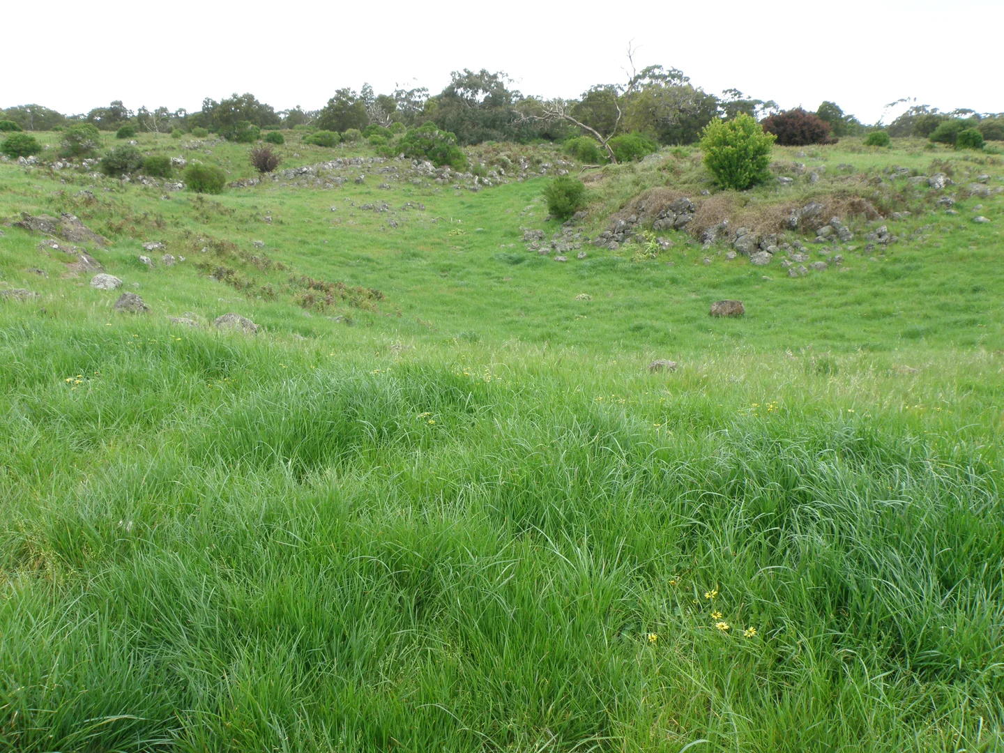 Additional image 10 of 220 Harlocks Road, Pomborneit North VIC 3260