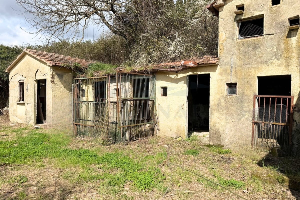 Additional image 5 of San Casciano dei Bagni (Siena)
