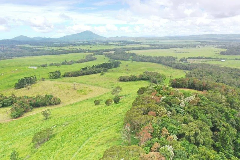 Additional image 23 of 1297 Mossman-Mount Molloy Road, Julatten QLD 4871