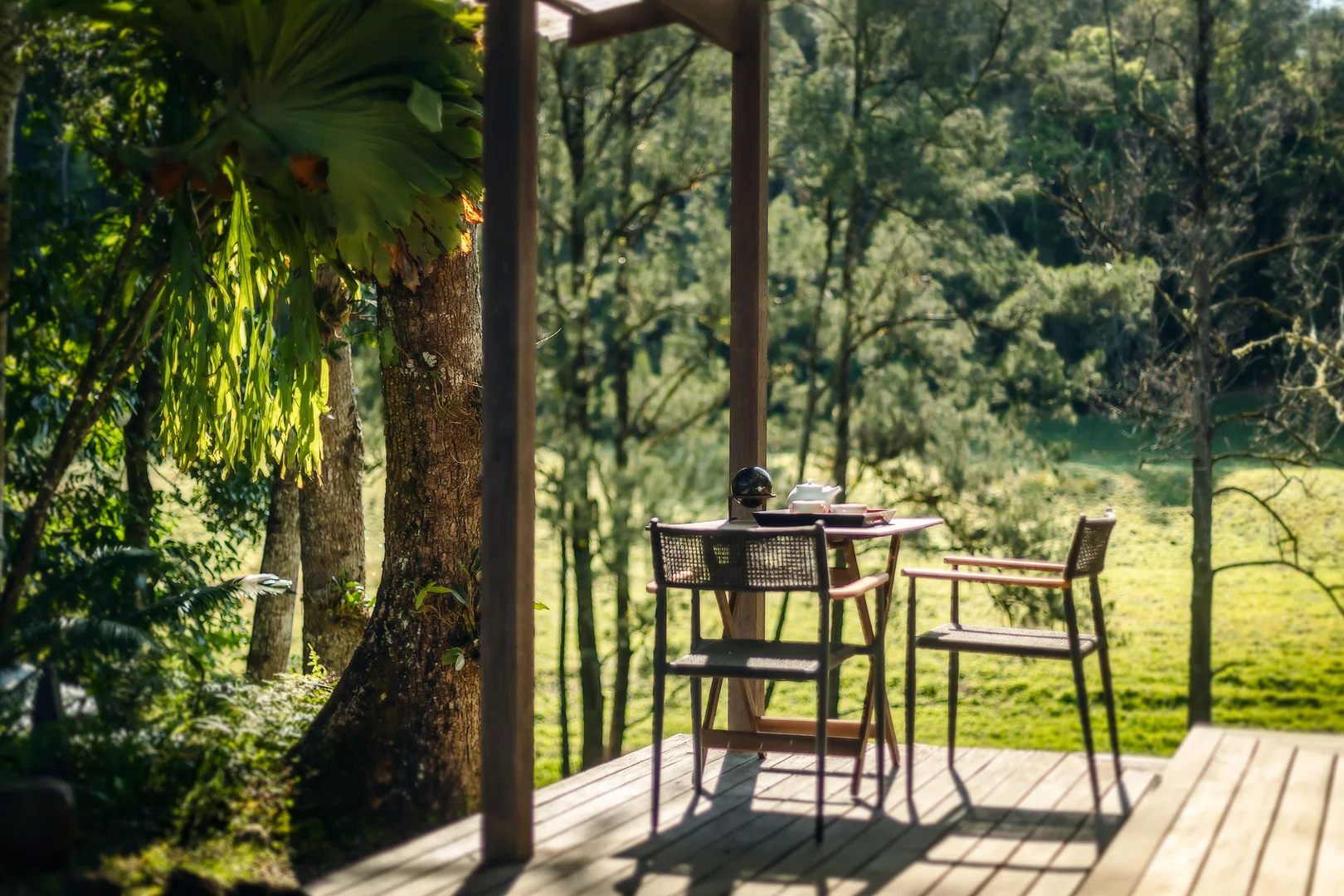 Additional image 36 of 1458 Darkwood Road, Bellingen NSW 2454