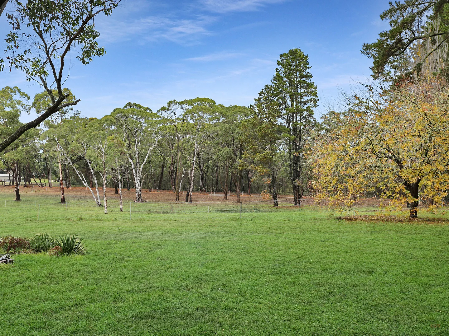 Additional image 8 of 1 - 8 Wildwood/Nandi/Wattlebird, Wingello NSW 2579