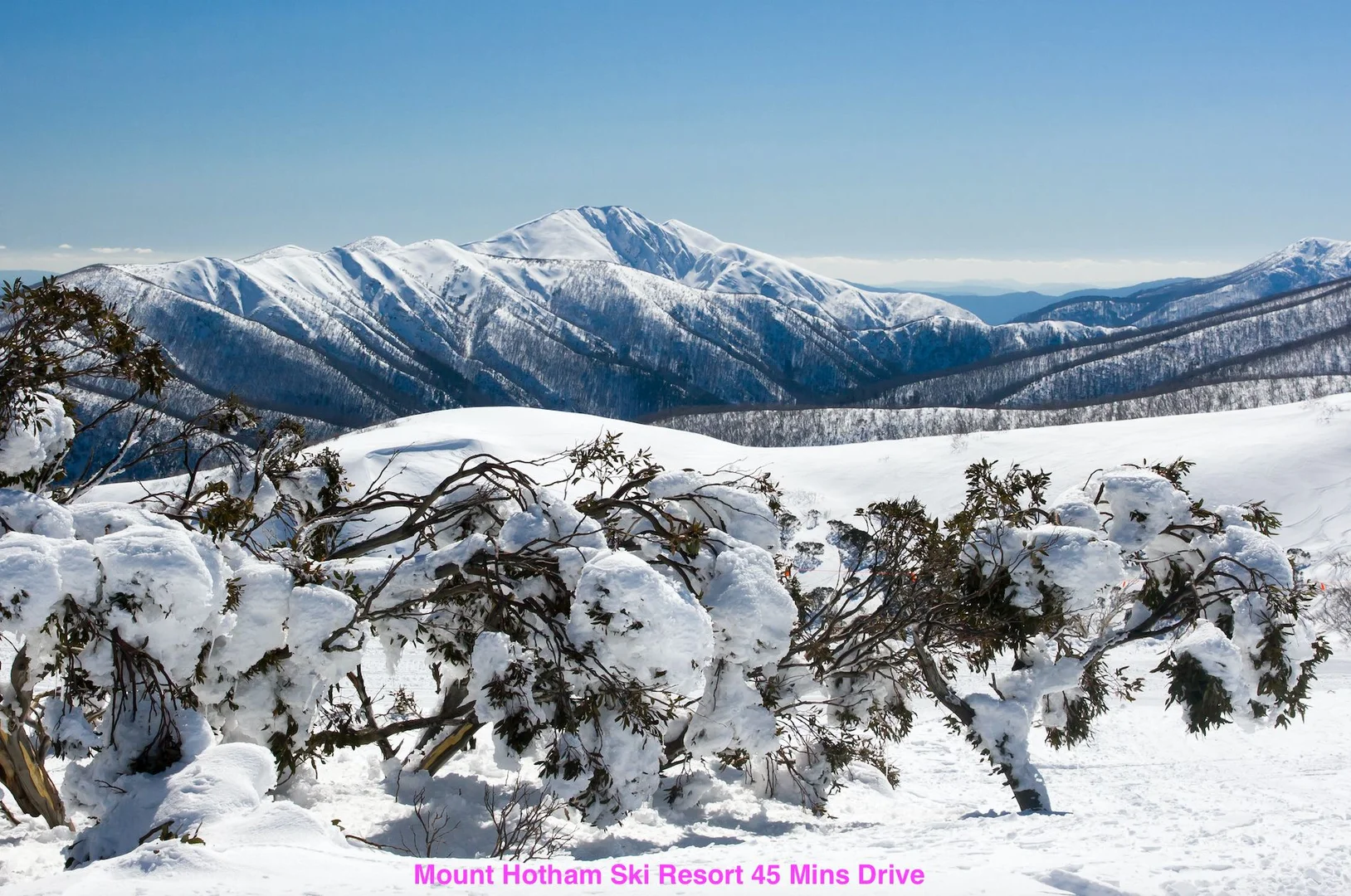 Additional image 23 of Smoko VIC 3741