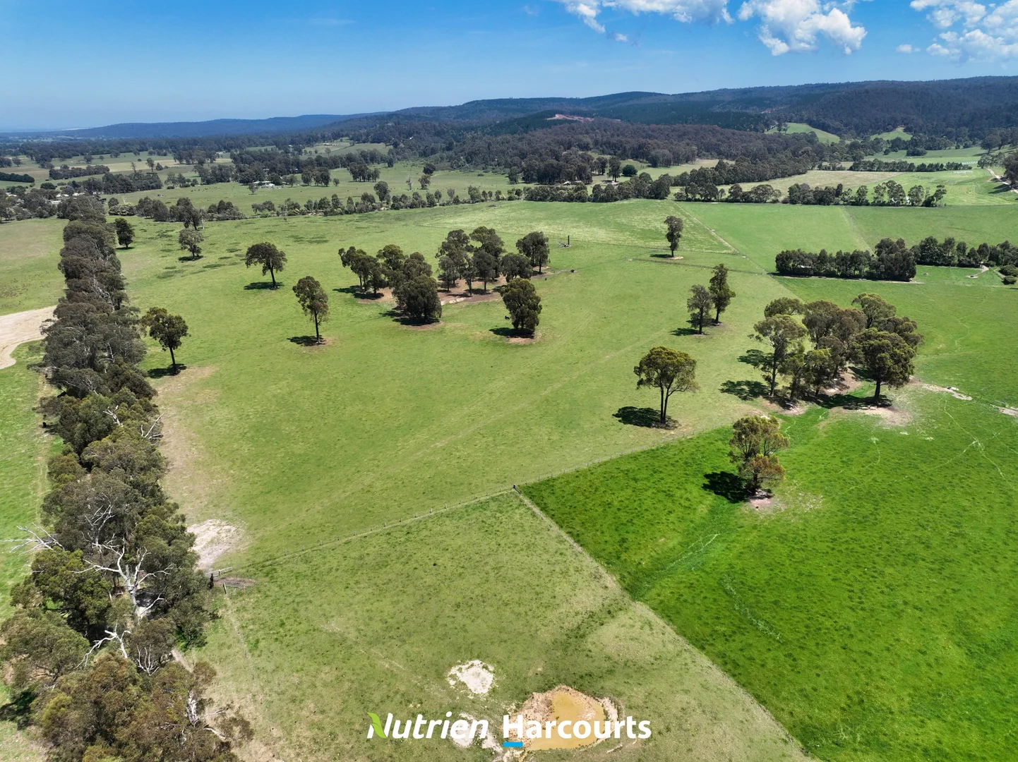 Additional image 7 of 111 Old Walhalla Road, Toongabbie VIC 3856