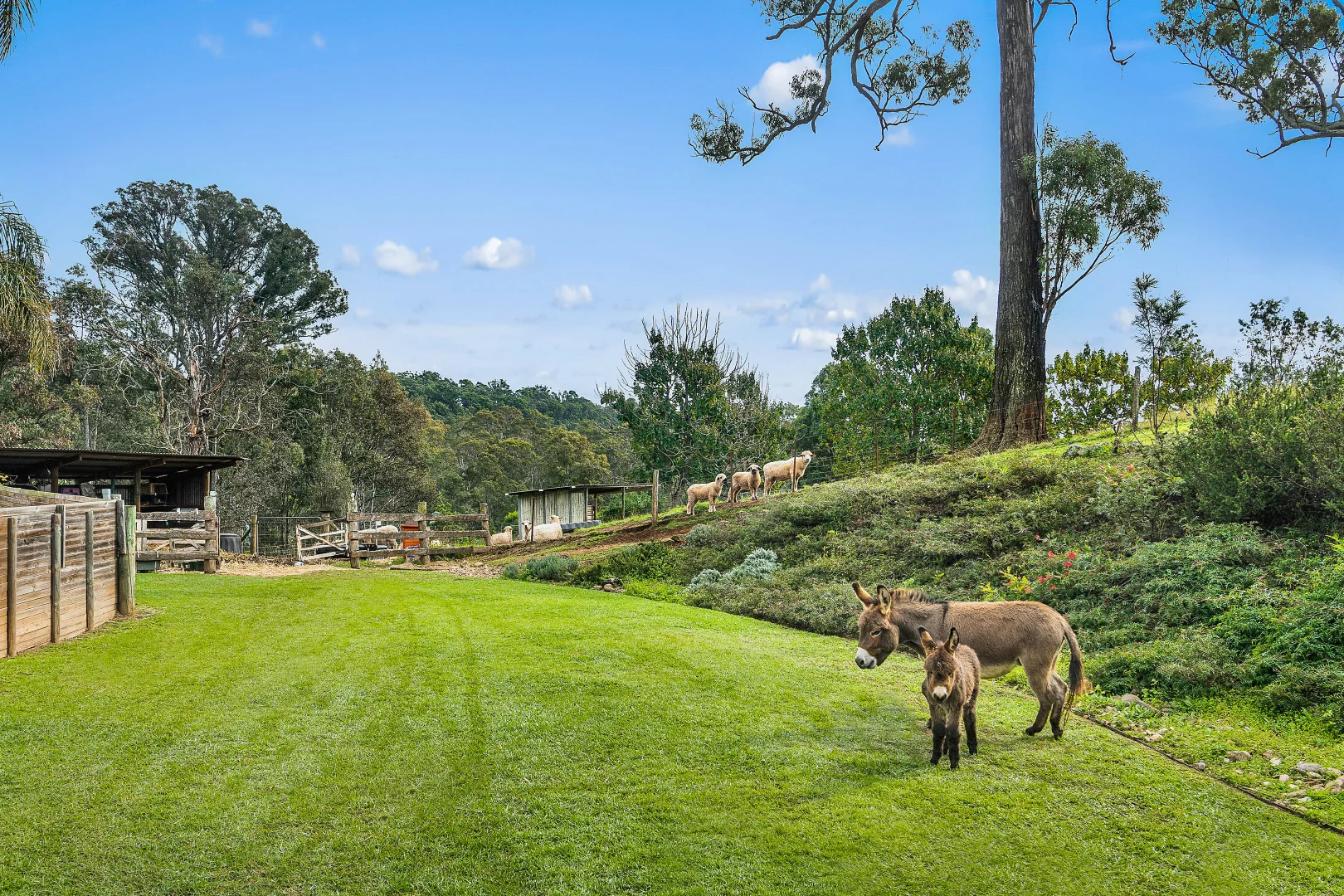 Additional image 26 of 149 Eastview Drive, Orangeville NSW 2570