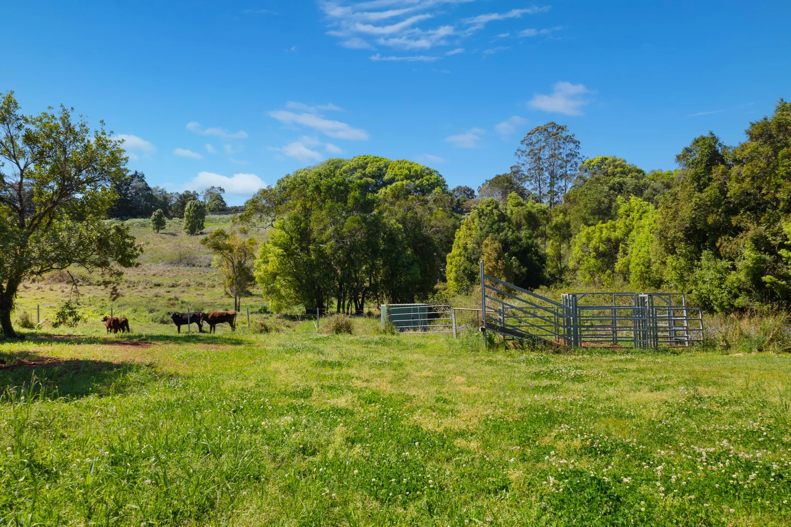 Additional image 18 of 68 Connor Road, Tregeagle NSW 2480