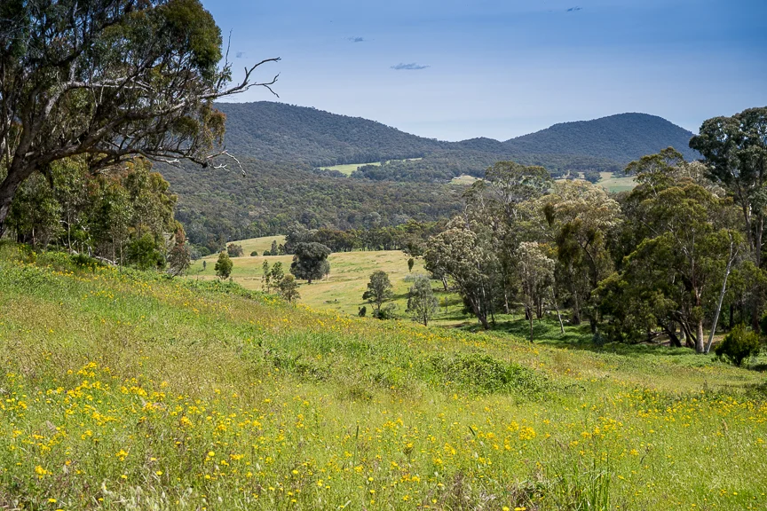 Additional image 7 of Lots 4 & 8 Tatong-Tolmie Rd, Tatong VIC 3673