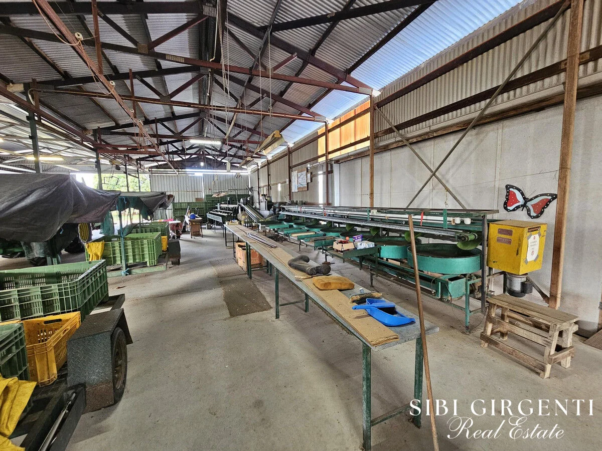 Additional image 14 of 44 Carman Road, Paddys Green QLD 4880