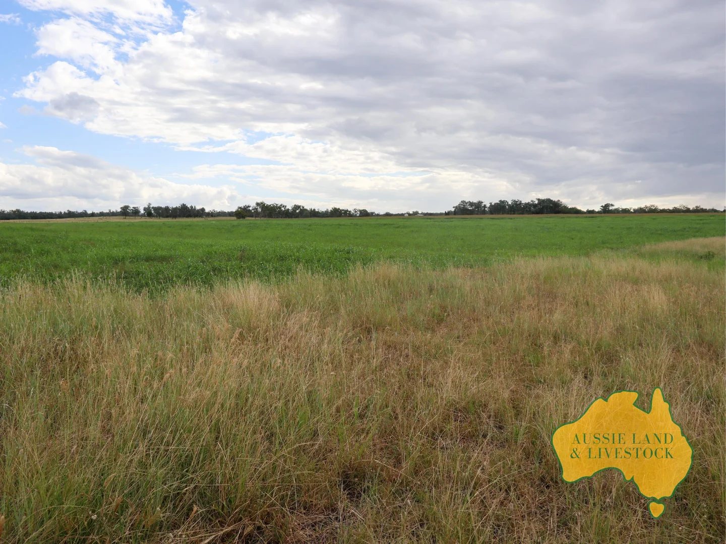 Additional image 75 of 629 Stuart Valley Drive, Haly Creek QLD 4610
