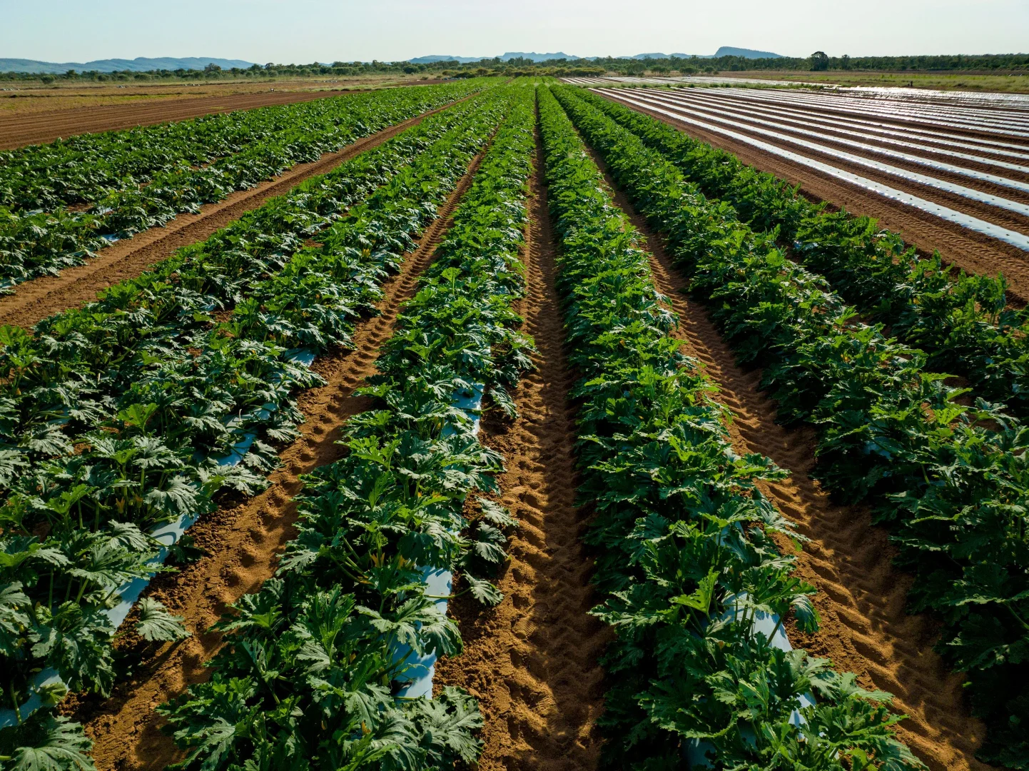 Additional image 28 of 349 Mulligans Lagoon Rd, Kununurra WA 6743