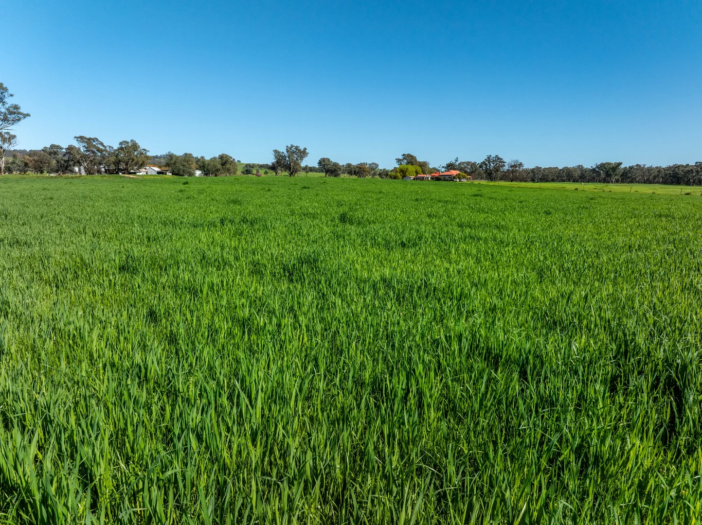 Additional image 5 of 25 Wrigleys Road, Big Springs NSW 2650