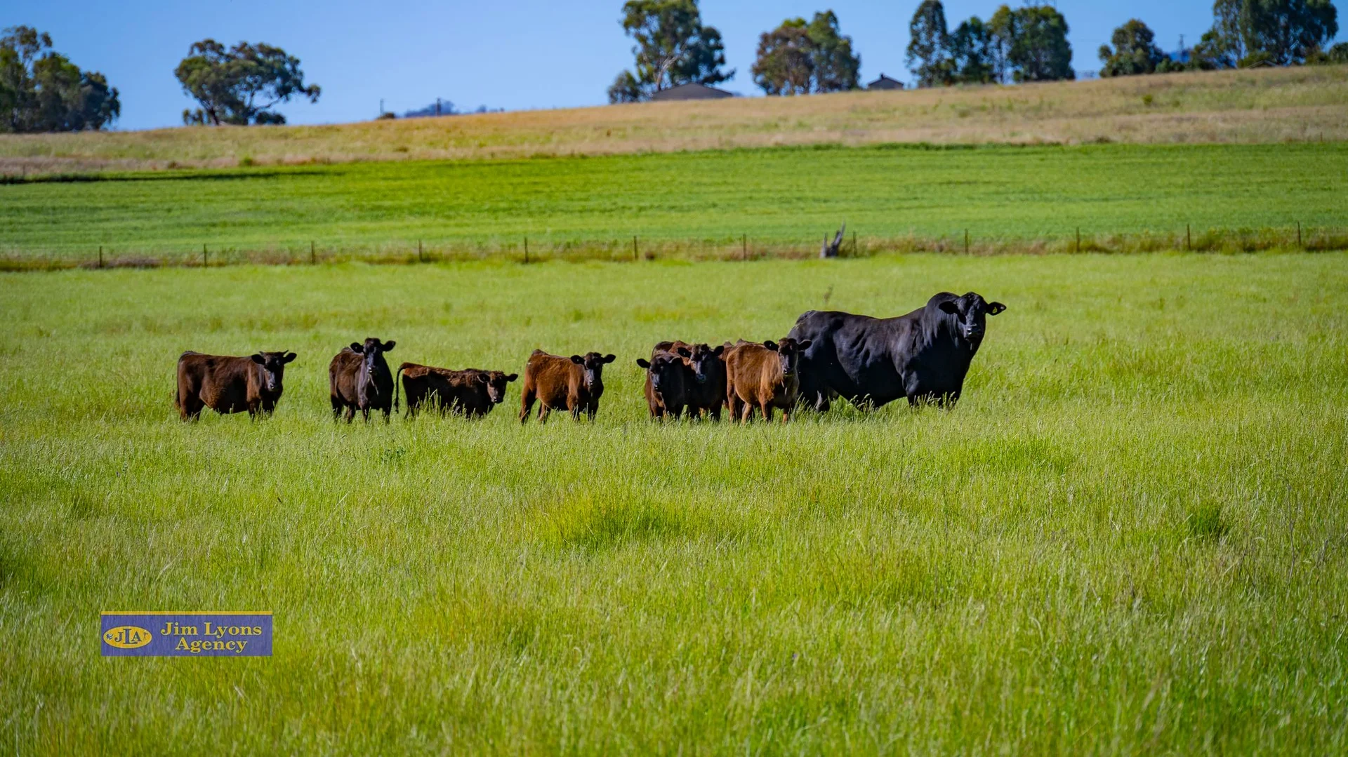 Additional image 32 of 4E Ranch Ascot-Calala Road, Tamworth NSW 2340