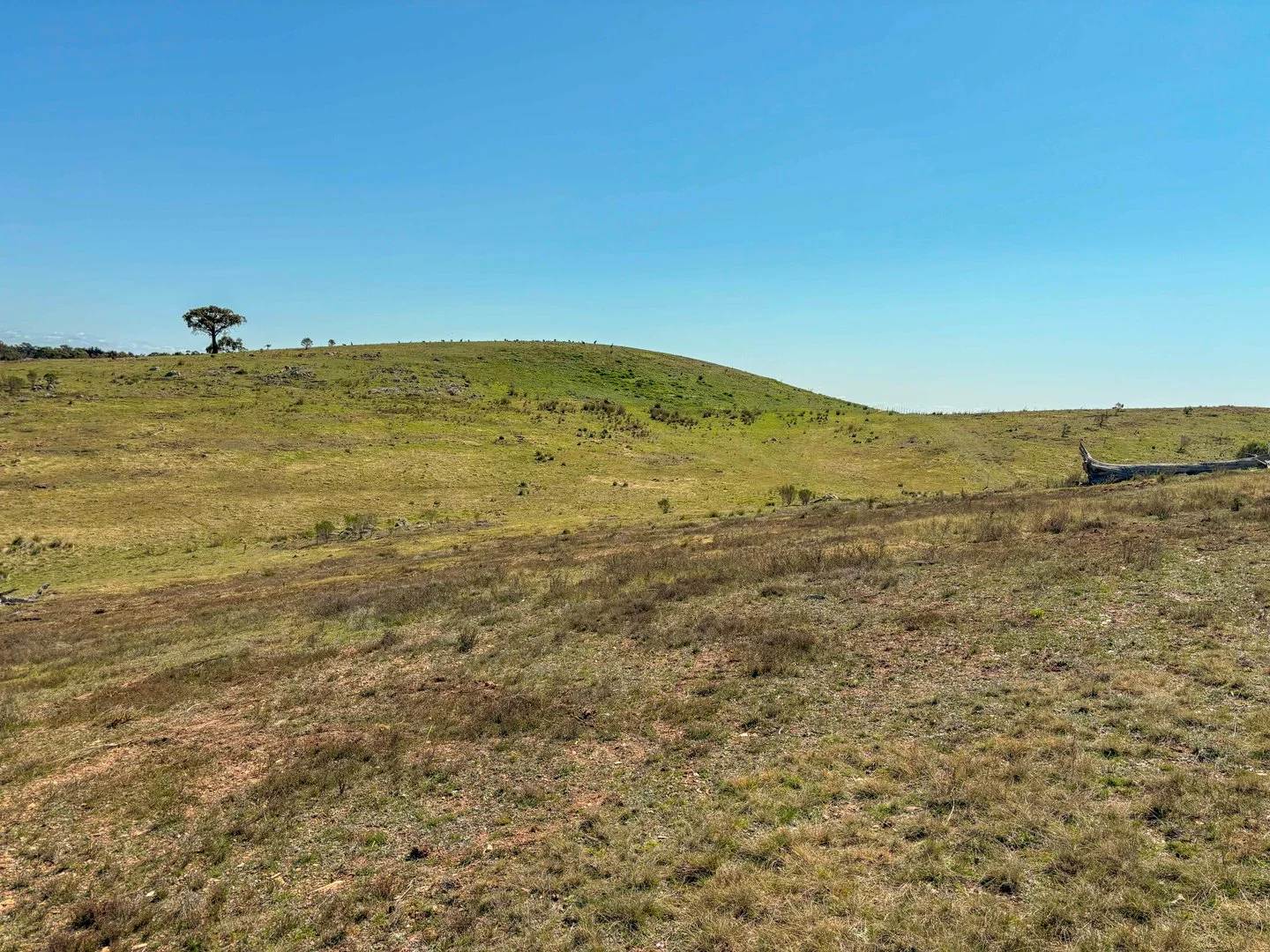 Additional image 14 of 529 Wirreanda Road, Wamboin NSW 2620