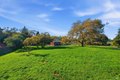 Additional image 20 of 5408 Hessel Ave, Sebastopol, CA, 95472