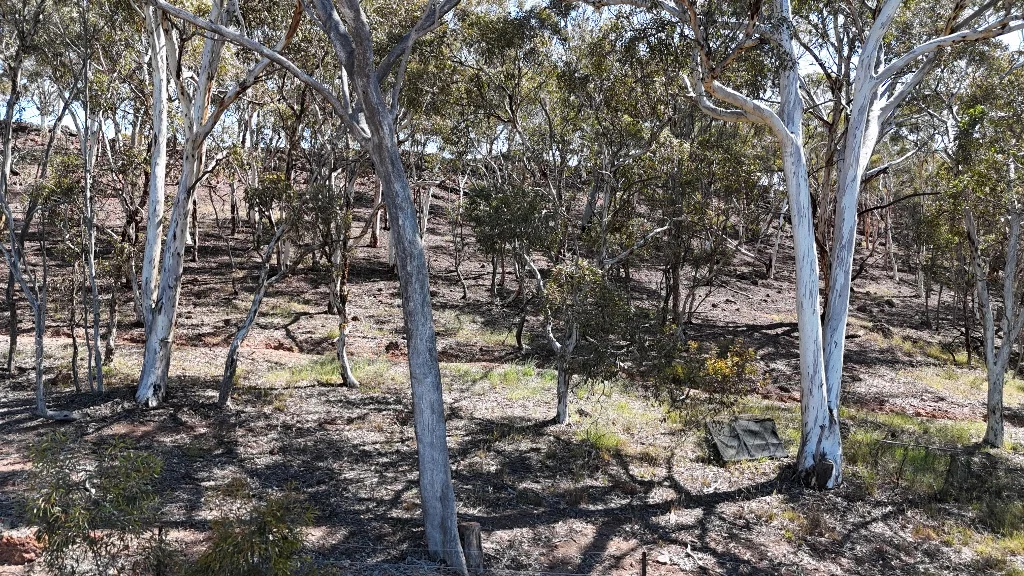 Additional image 36 of 9 Morris Edwards Drive, York WA 6302