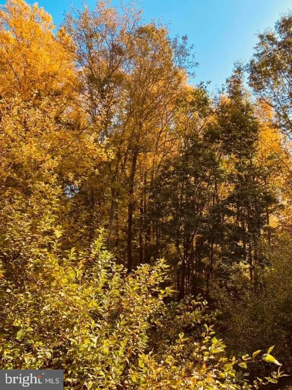 Additional image 27 of 3507 Haley Court, Wilmington, DE 19808