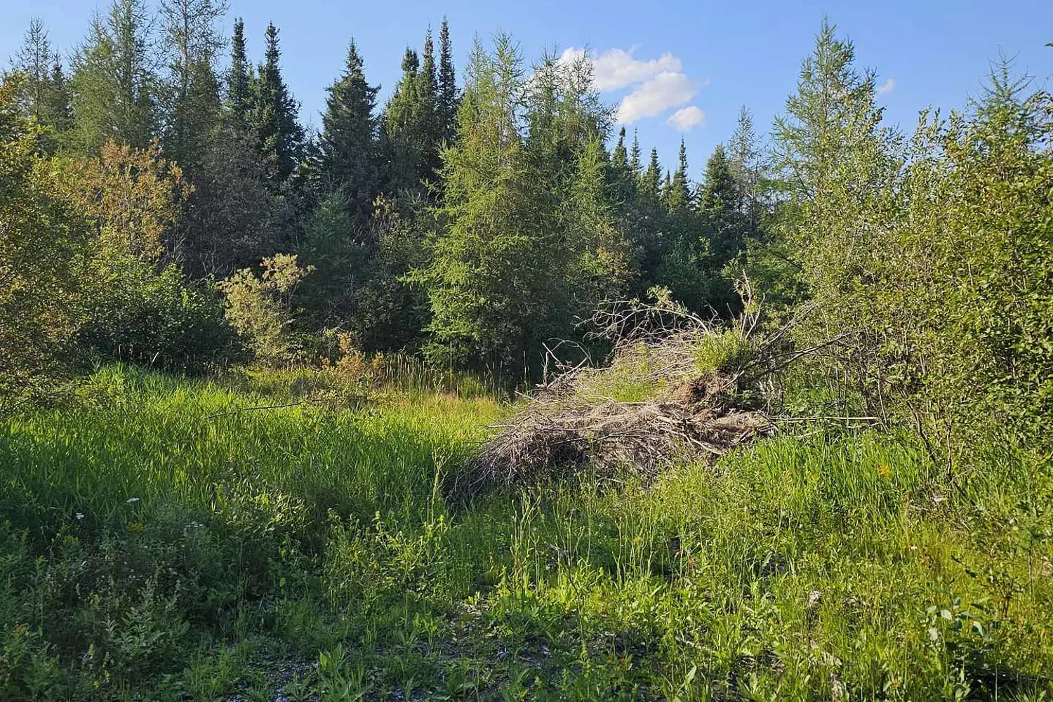 Additional image 7 of 320 Mcnee Road