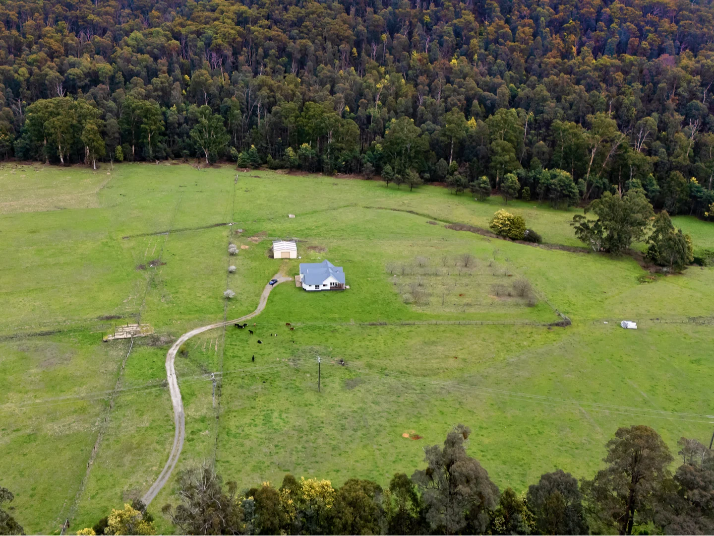 Additional image 21 of Marysville VIC 3779